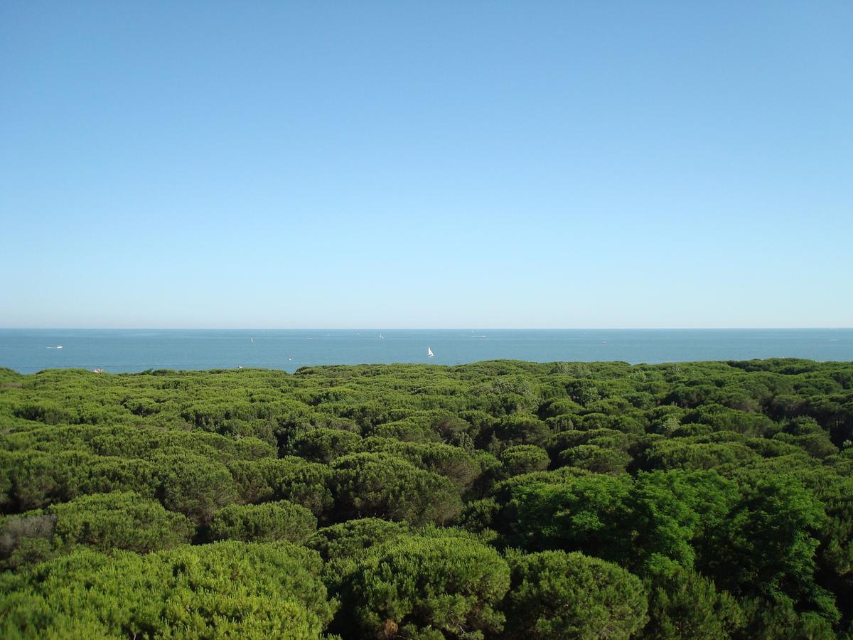 Hotel San Giorgio Milano Marittima Buitenkant foto